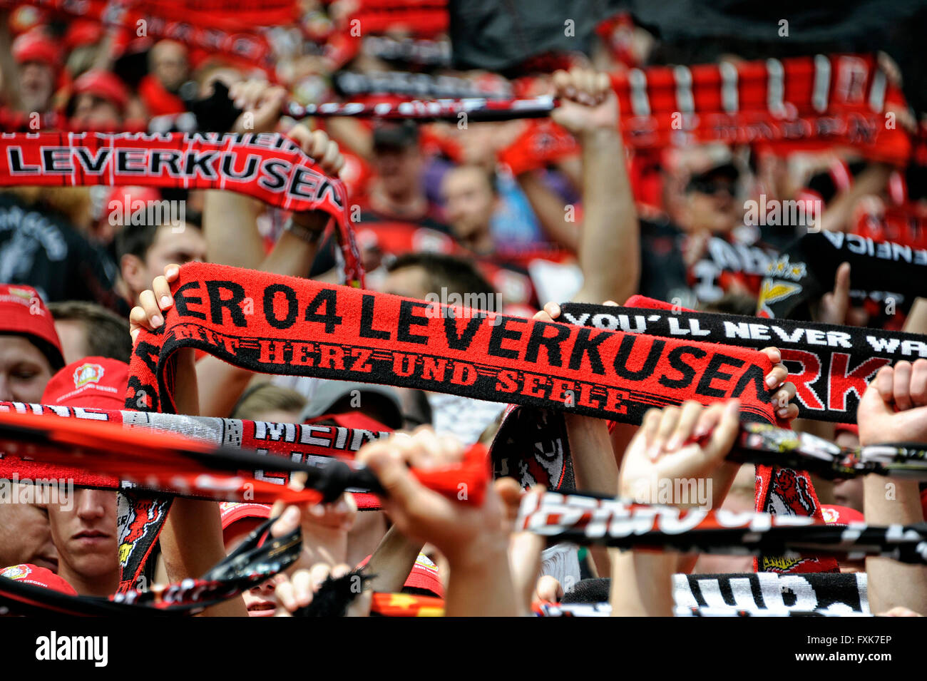 Lega calcio tedesca, Bayer Leverkusen tifosi con sciarpe, banner, Leverkusen, Renania settentrionale-Vestfalia, Germania Foto Stock