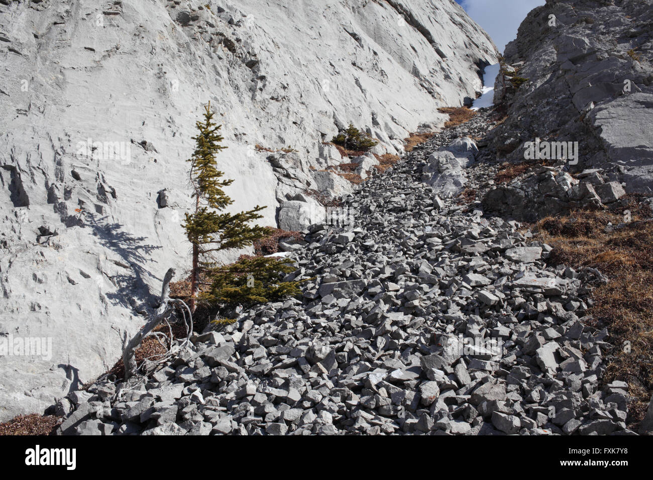 Diapositiva di roccia alta sopra la hwy 40 a Kananaskis Paese in Alberta Foto Stock
