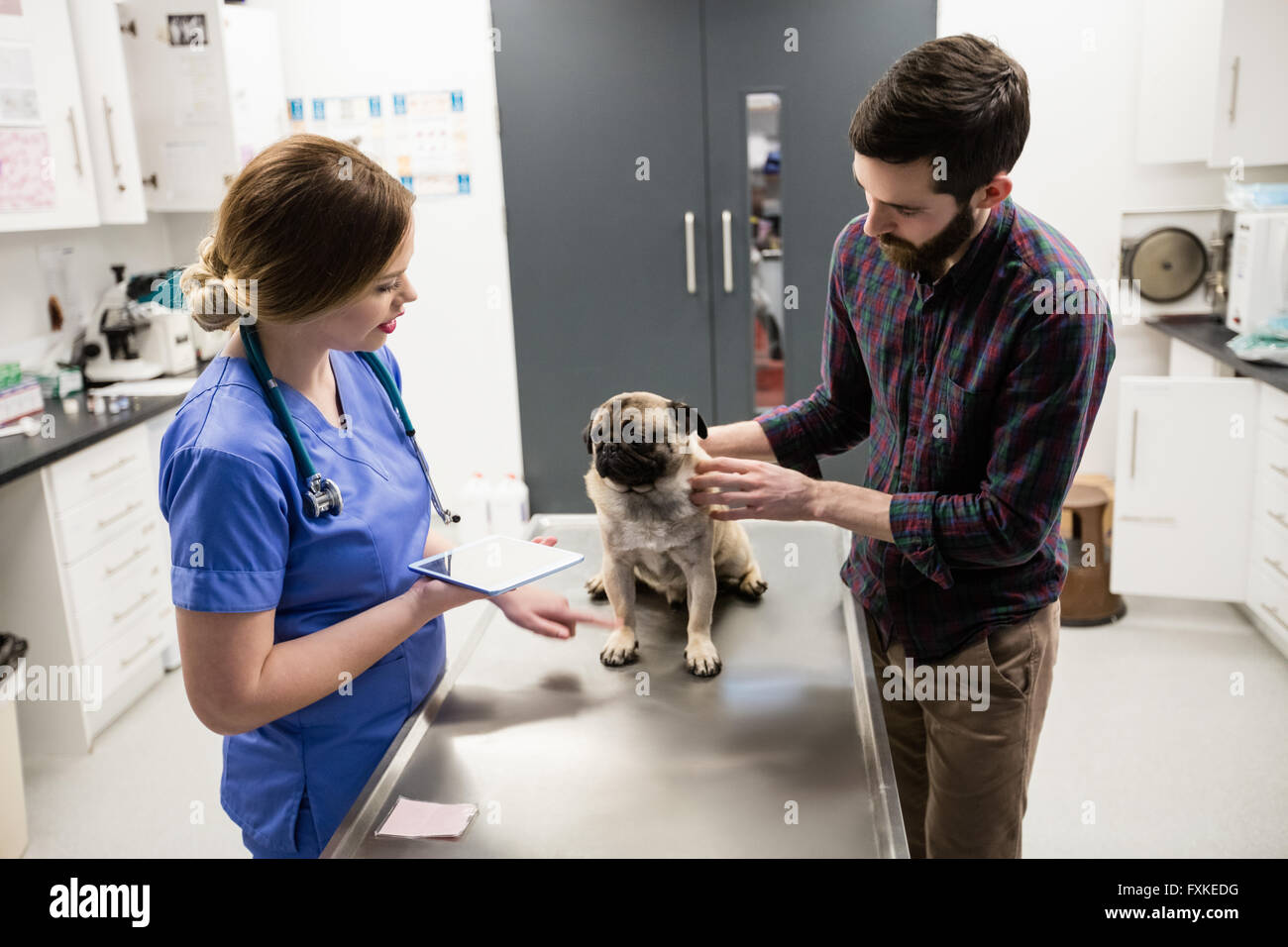 Vet esaminando il cane con il suo proprietario Foto Stock