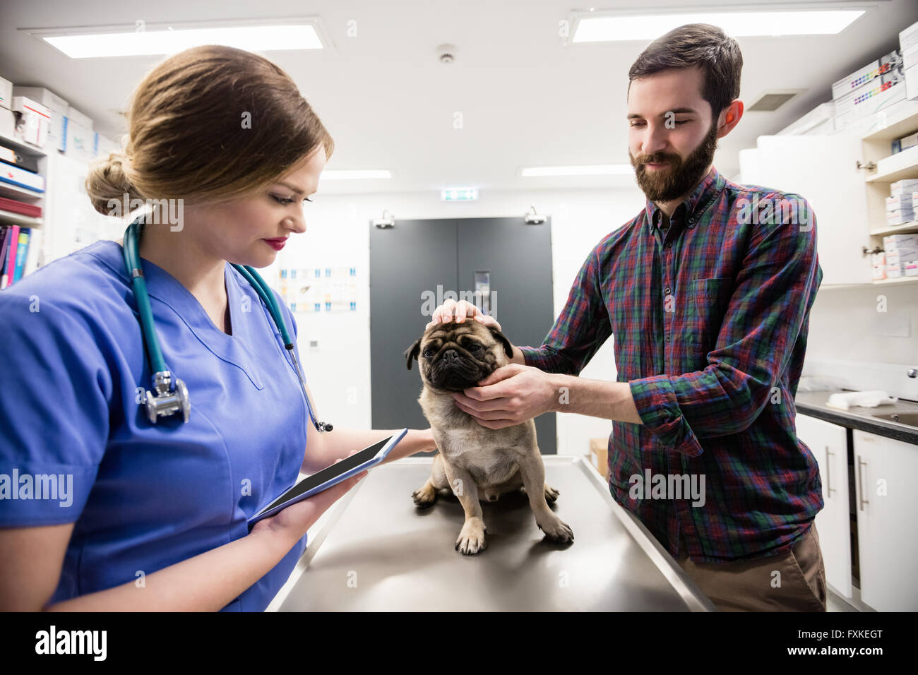Vet esaminando il cane con il suo proprietario Foto Stock