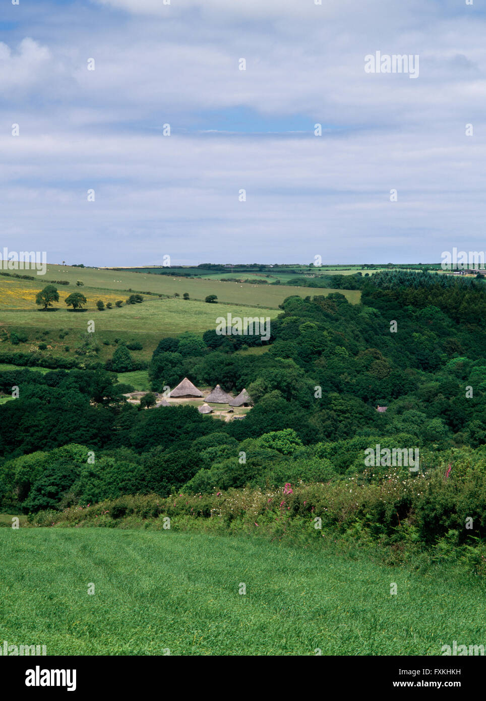 Ricostruito roundhouses a Castell Henllys difeso insediamento, Pembrokeshire, occupata durante la tarda età del bronzo e età del ferro c 1000BC-AD60. Foto Stock