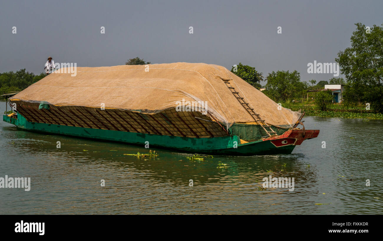 La lolla di riso di essere trasportati a bordo di una barca sul fiume Mekong, Delta del Mekong, Vietnam Foto Stock