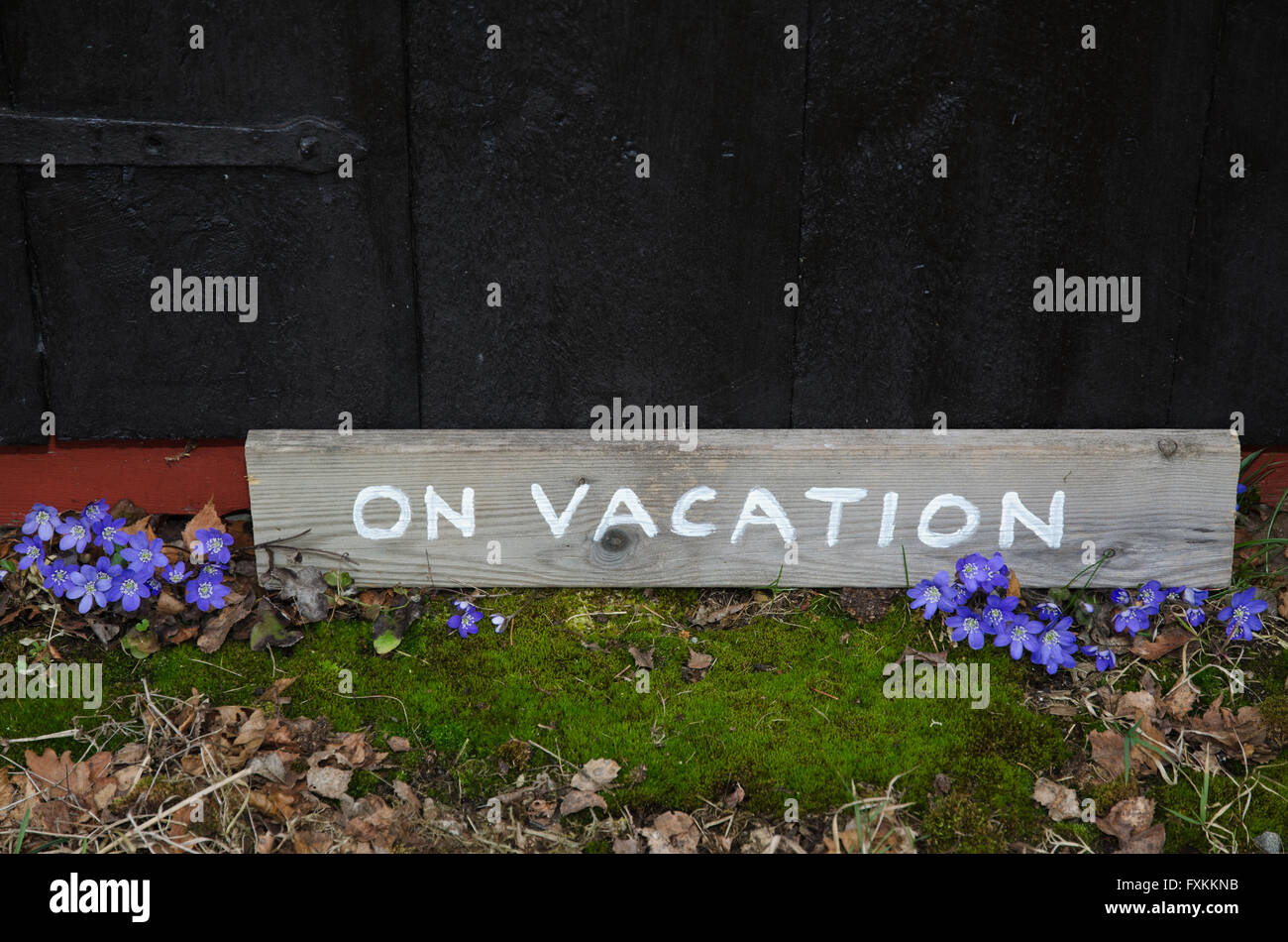 Legno vacanza sul segno sul terreno con molla blu fiori e verde muschio Foto Stock