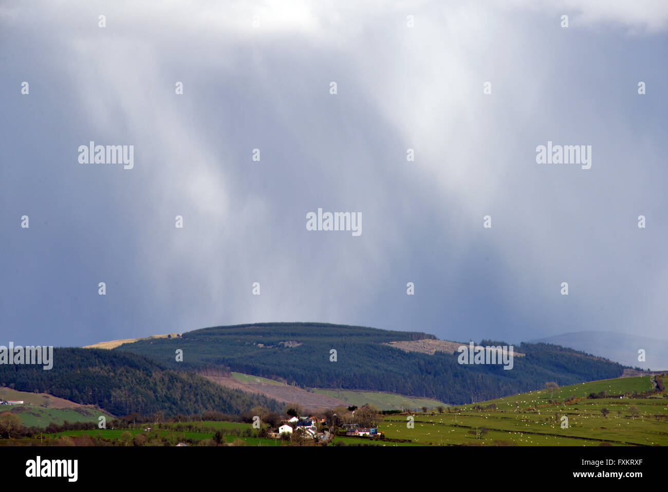 Cambrian Mountains, Aberystwyth, Wales, Regno Unito. 16 Aprile, 2016. Regno Unito - Previsioni del tempo - Nonostante la luminosa luce del sole di primavera in primo piano, docce invernale cadono al di sopra del Cambriano montagne vicino Aberystwyth, Wales, Regno Unito - John Gilbey/Alamy Live News - 16-Aprile-2016 Credito: John Gilbey/Alamy Live News Foto Stock