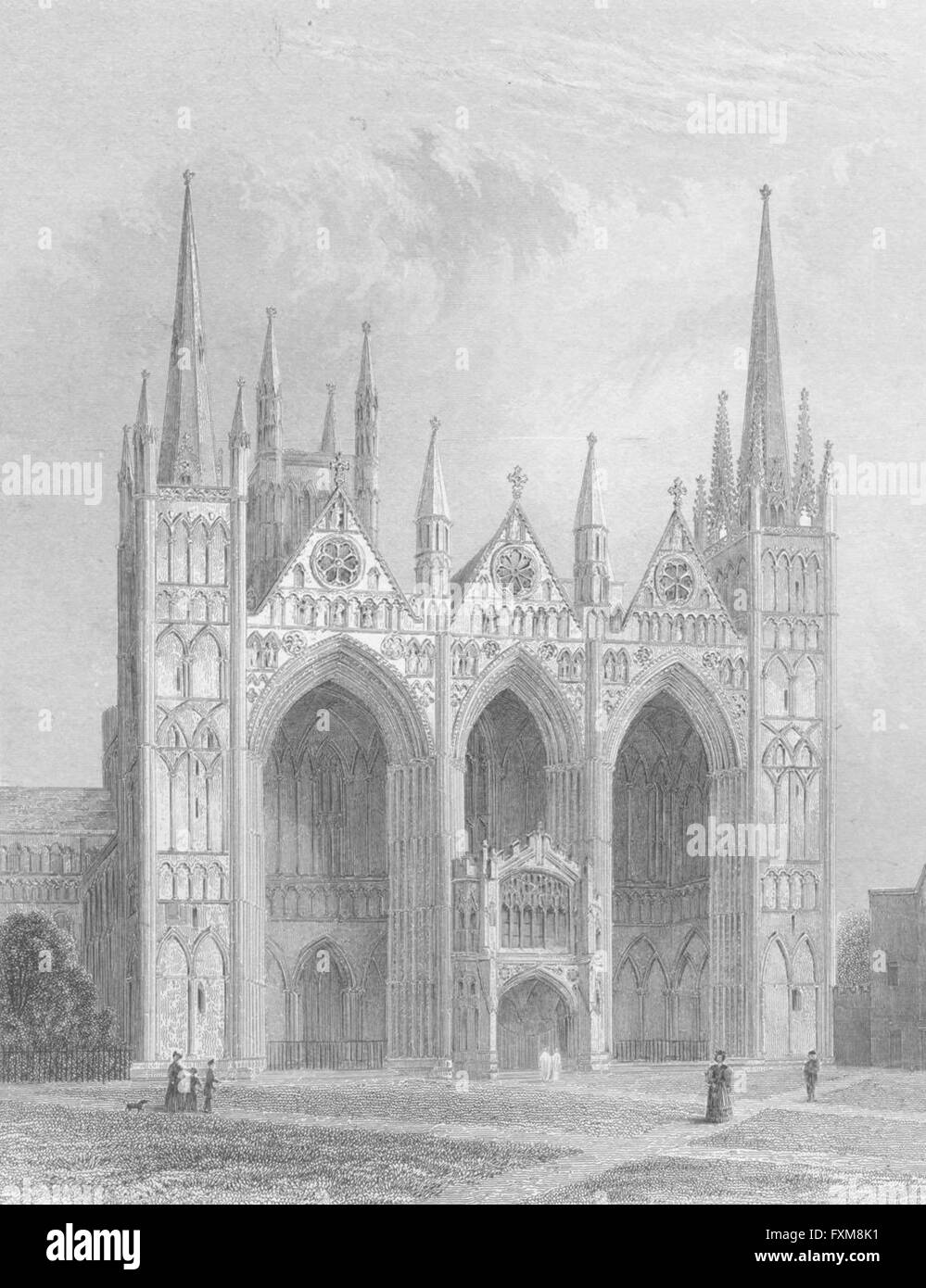 CAMBS: Peterborough Cathedral, antica stampa 1850 Foto Stock