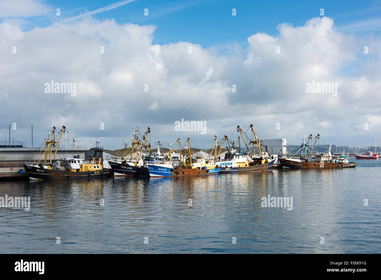 Commerciale di pesca barche ormeggiate in porto a Brixham Devon UK Foto Stock