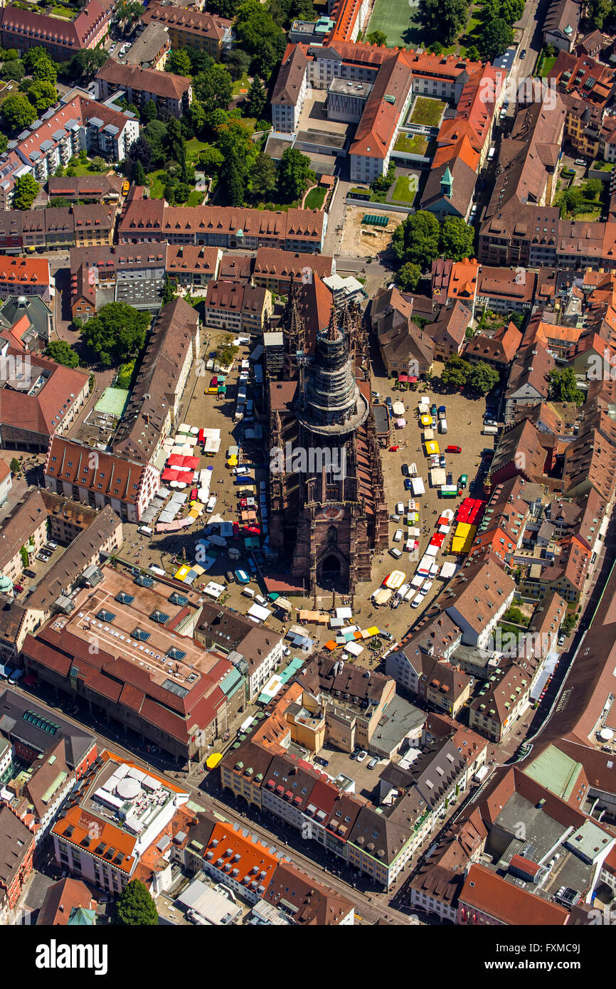 Vista aerea, Cattedrale di Friburgo con Piazza del Mercato, Freiburg, Breisgau, Baden-Württemberg, Germania, Europa, vista aerea, Foto Stock