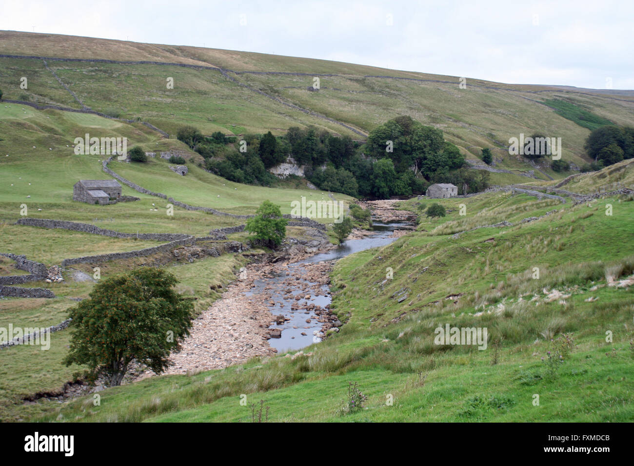 Fiume Swale a Cottersby Scar Foto Stock