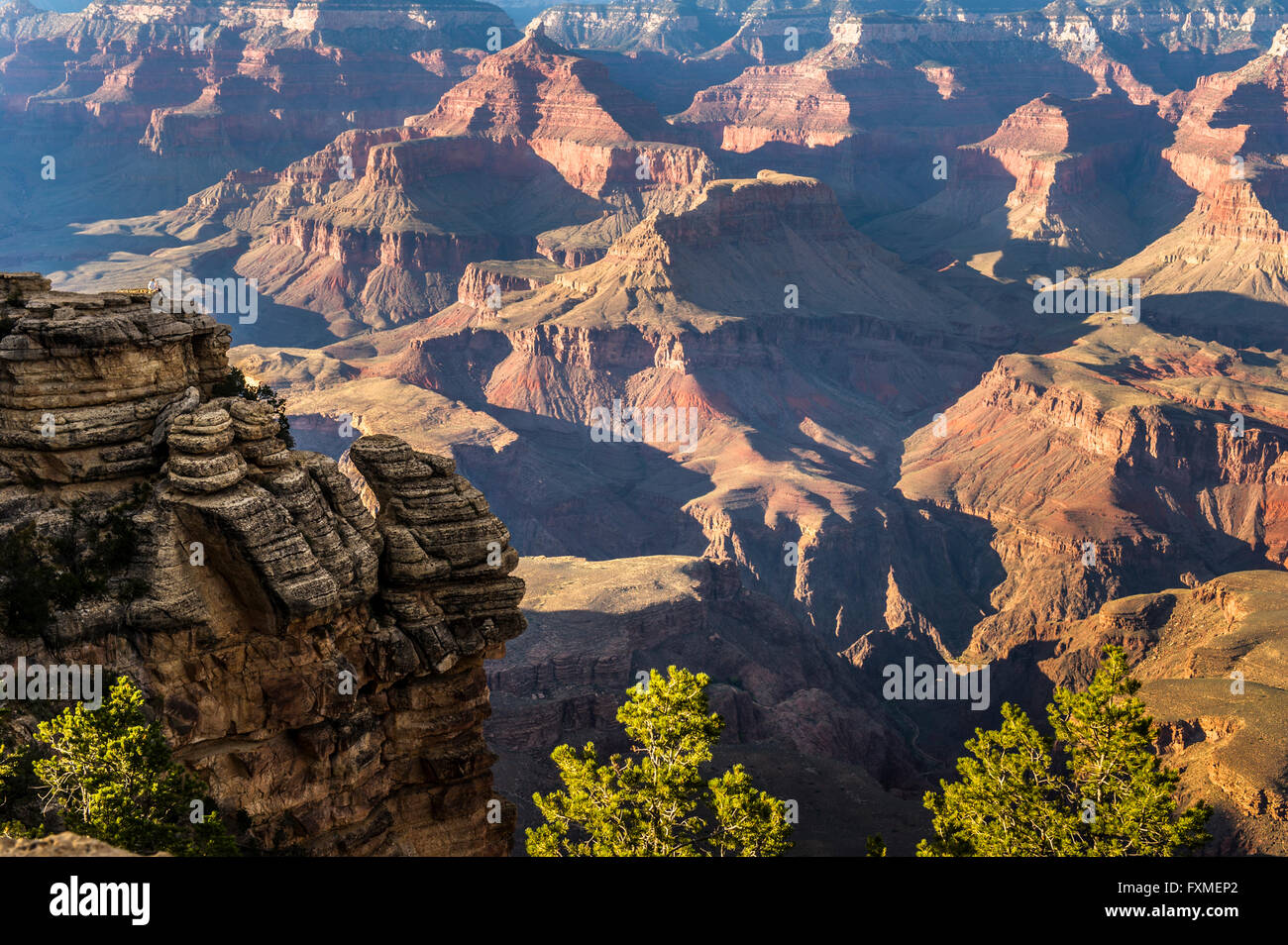 Parco Nazionale del Grand Canyon, Arizona, Stati Uniti Foto Stock