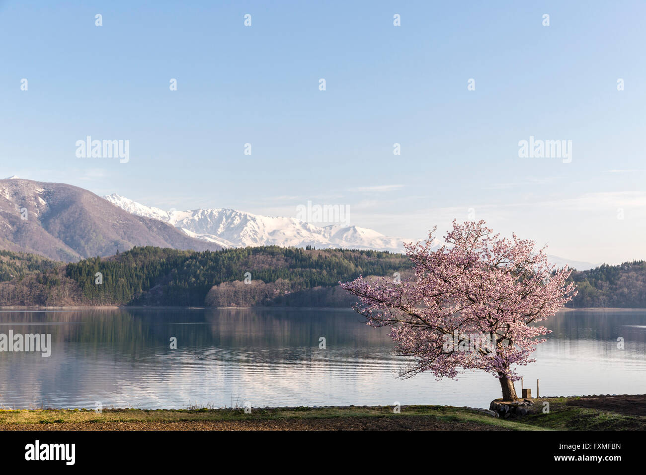 Il lago di Aoki, Nagano, Giappone Foto Stock