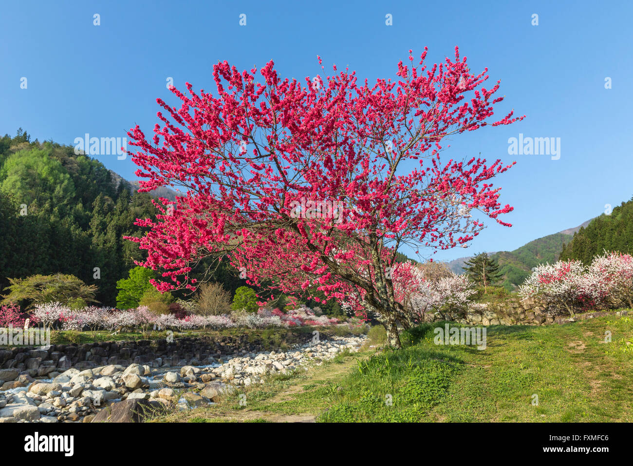 Moon River Hot Springs, Nagano, Giappone Foto Stock