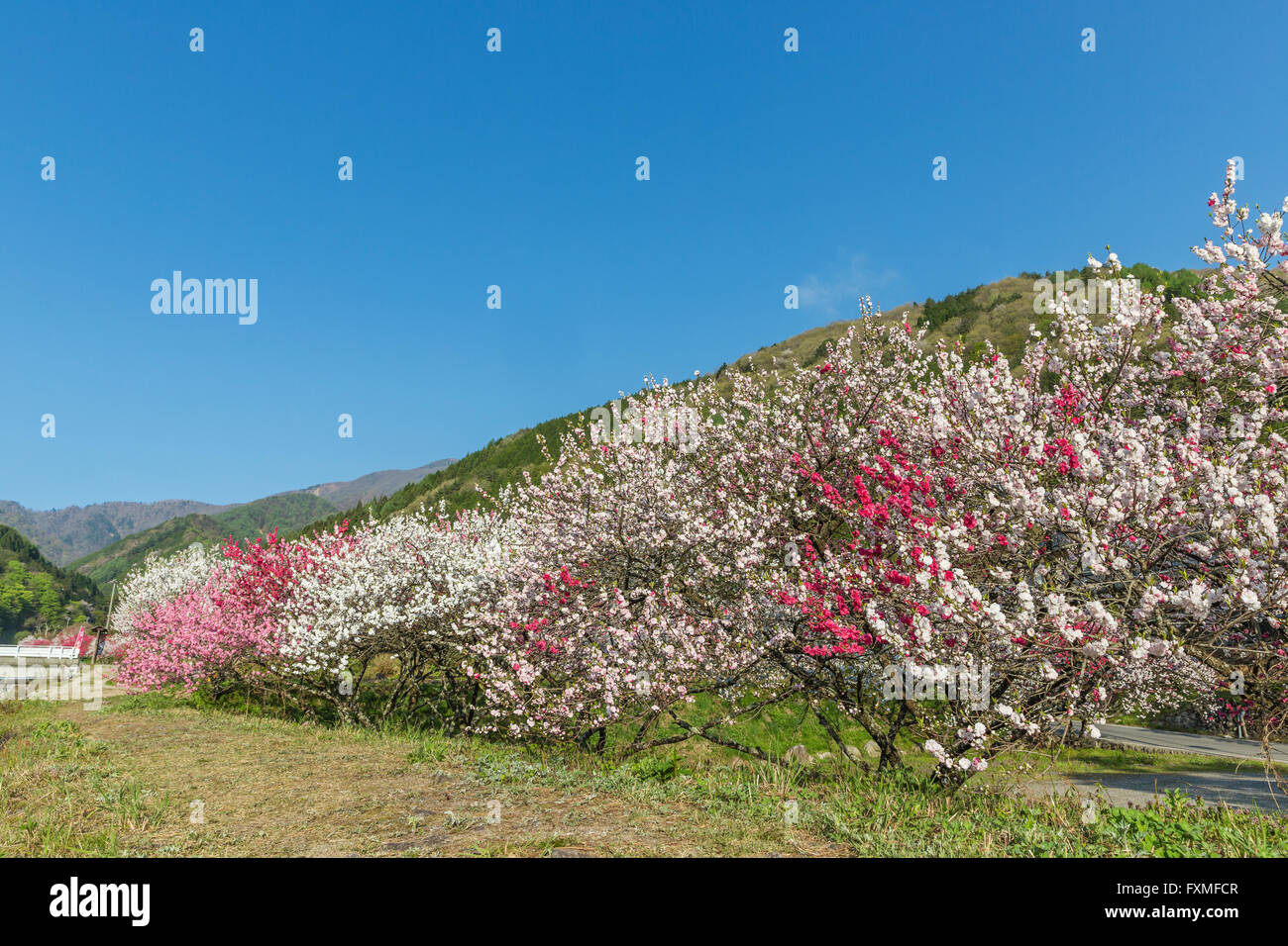 Moon River Hot Springs, Nagano, Giappone Foto Stock