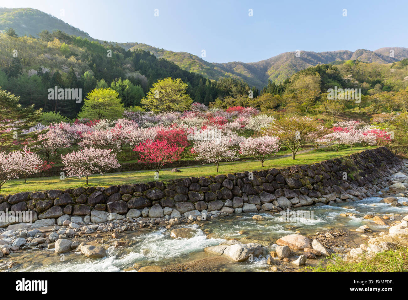 Moon River Hot Springs, Nagano, Giappone Foto Stock