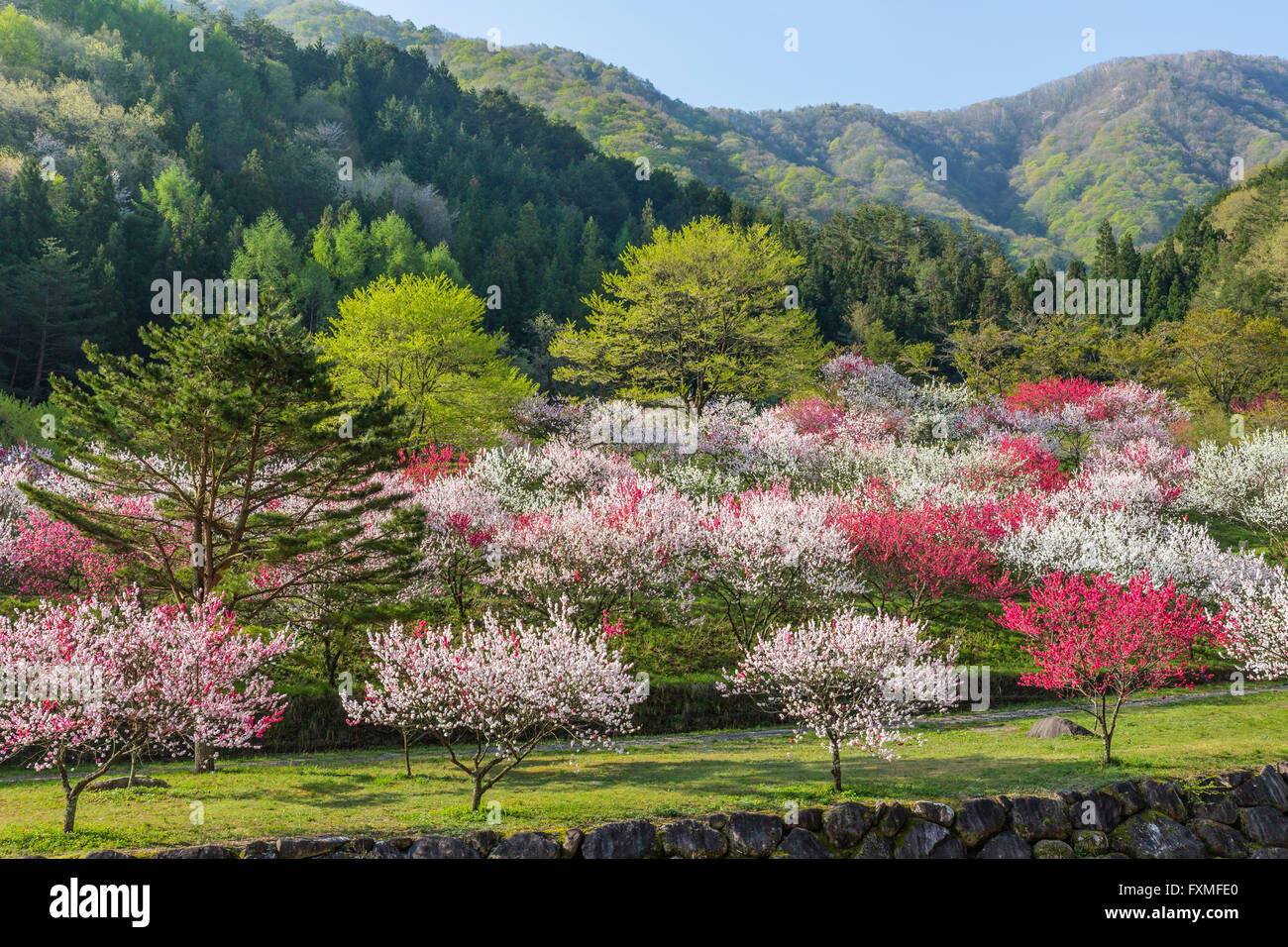 Moon River Hot Springs, Nagano, Giappone Foto Stock