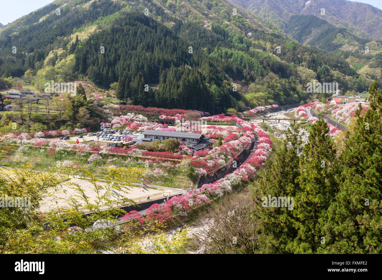 Moon River Hot Springs, Nagano, Giappone Foto Stock