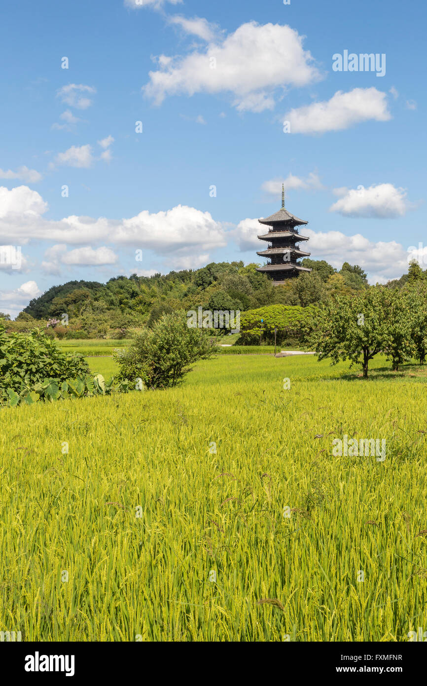 Cinque piani pagoda a Bichukokubun ji in Okayama, Giappone Foto Stock
