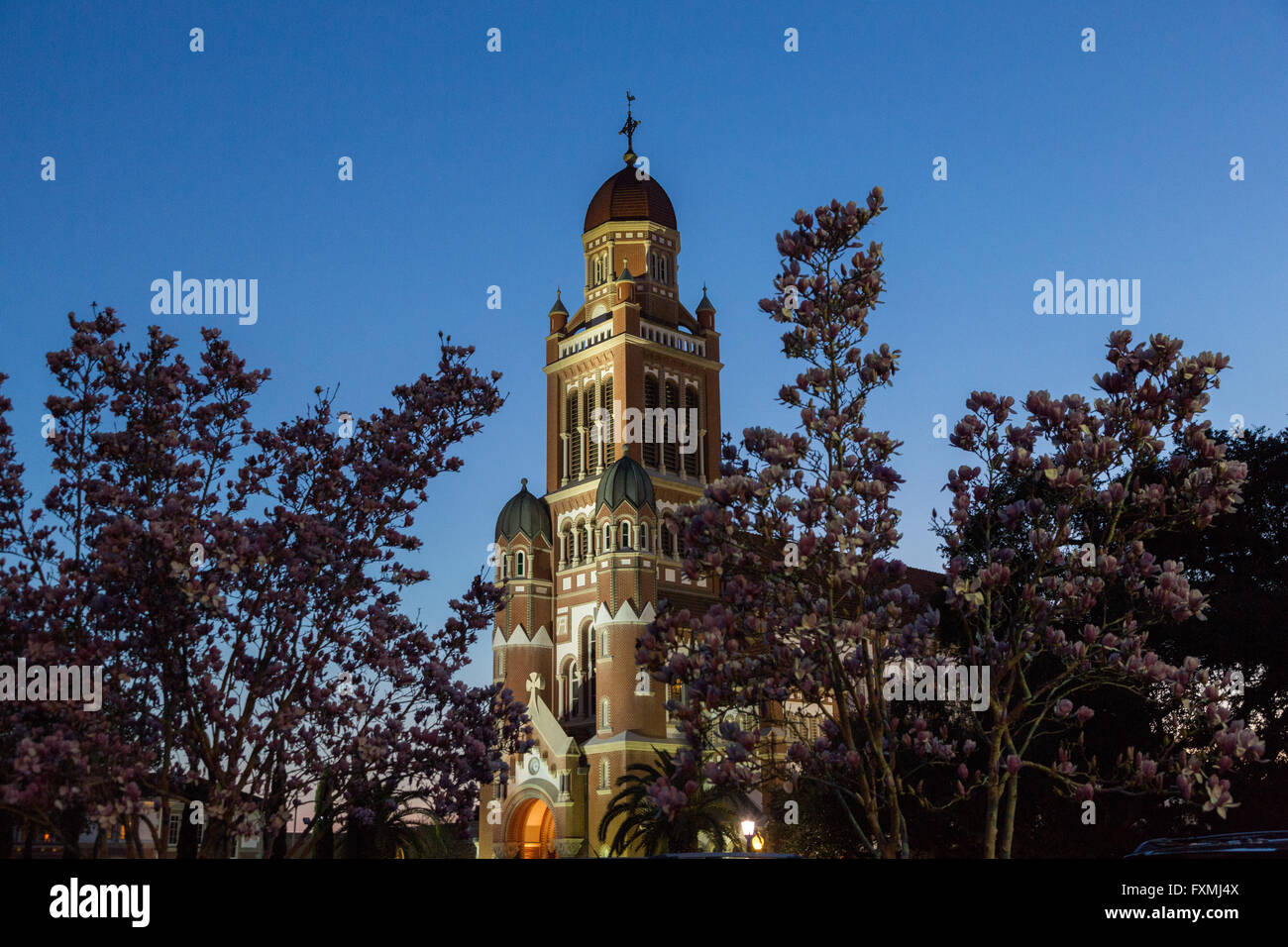 La Cattedrale di San Giovanni Evangelista al crepuscolo in centro a Lafayette, Louisiana. Foto Stock