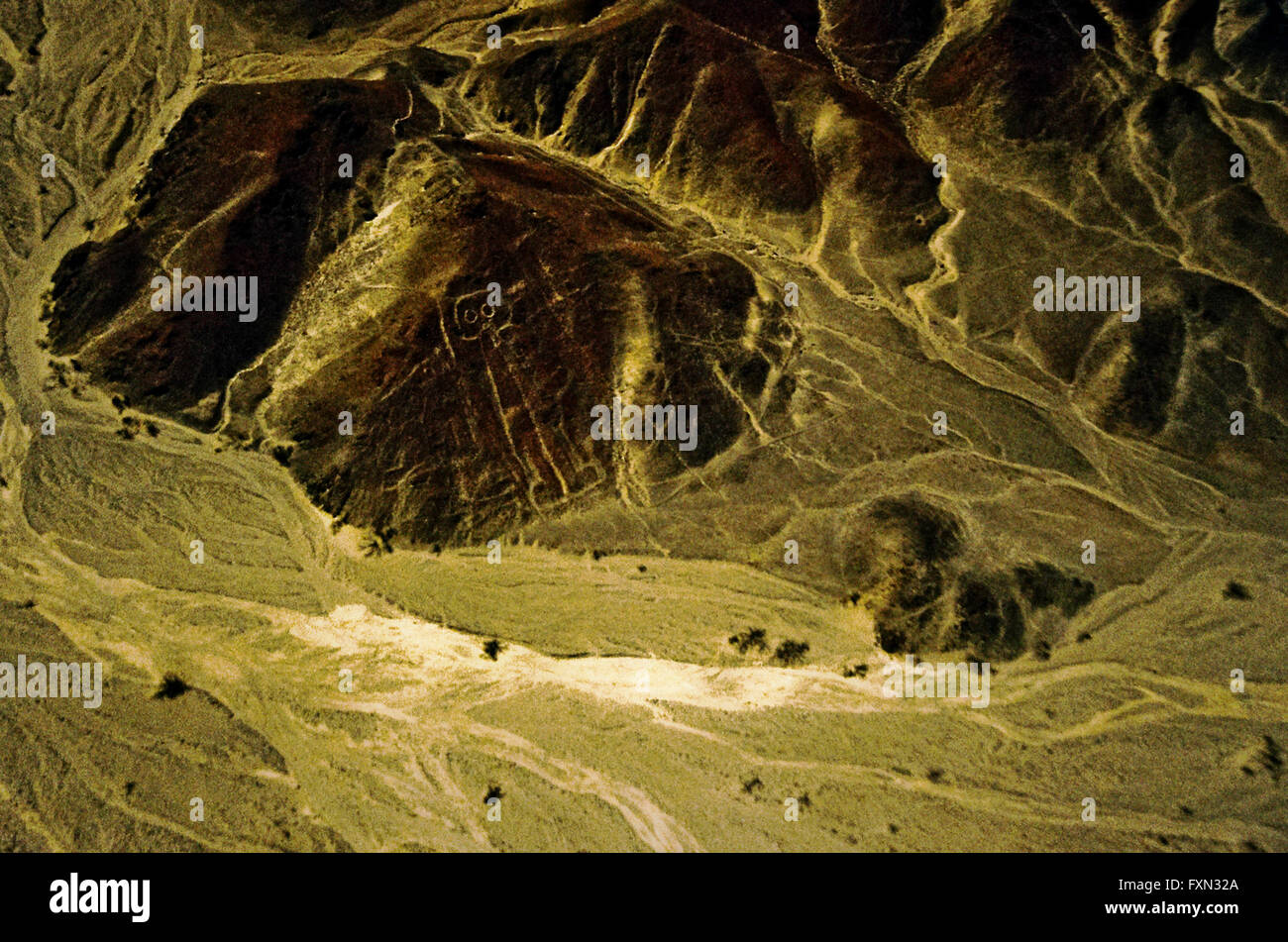 Deserto di Nazca e le linee, Perù Foto Stock