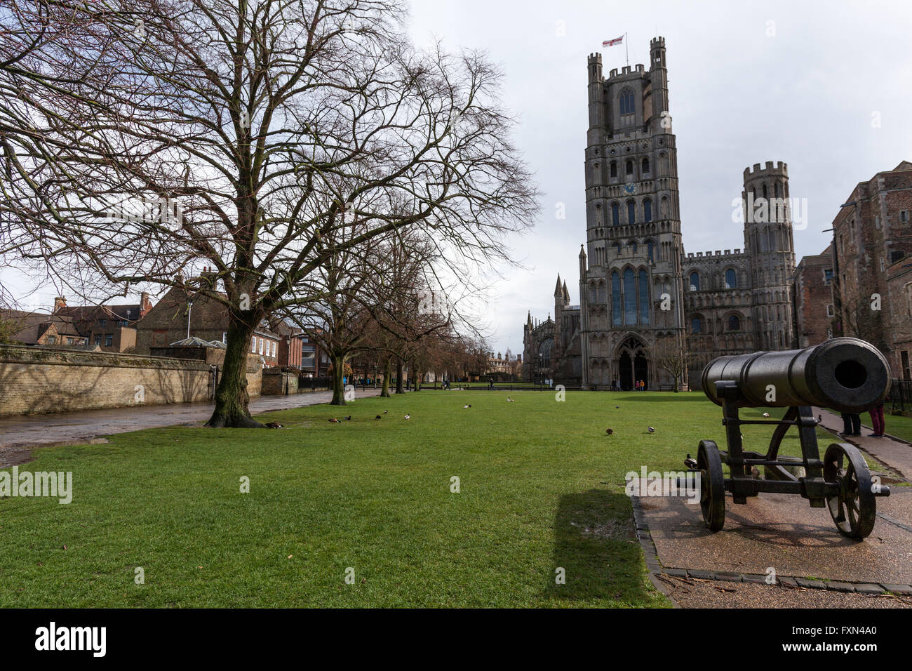 Una canon si siede di fronte a ovest della Cattedrale di Ely, Palazzo verde, Ely, Cambridgeshire, England, Regno Unito Foto Stock