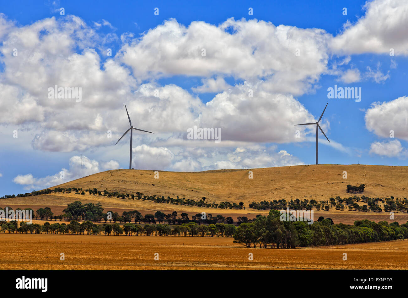 2 tall turbine eoliche che generano elettricità nelle zone rurali del Sud Australia su una collina sopra coltivate raccolte di campi di fattoria. Foto Stock