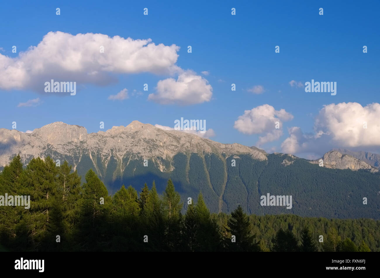 Monzonikamm in den italienischen Dolomiten - la Cima di undici in Dolomiti italiane Foto Stock