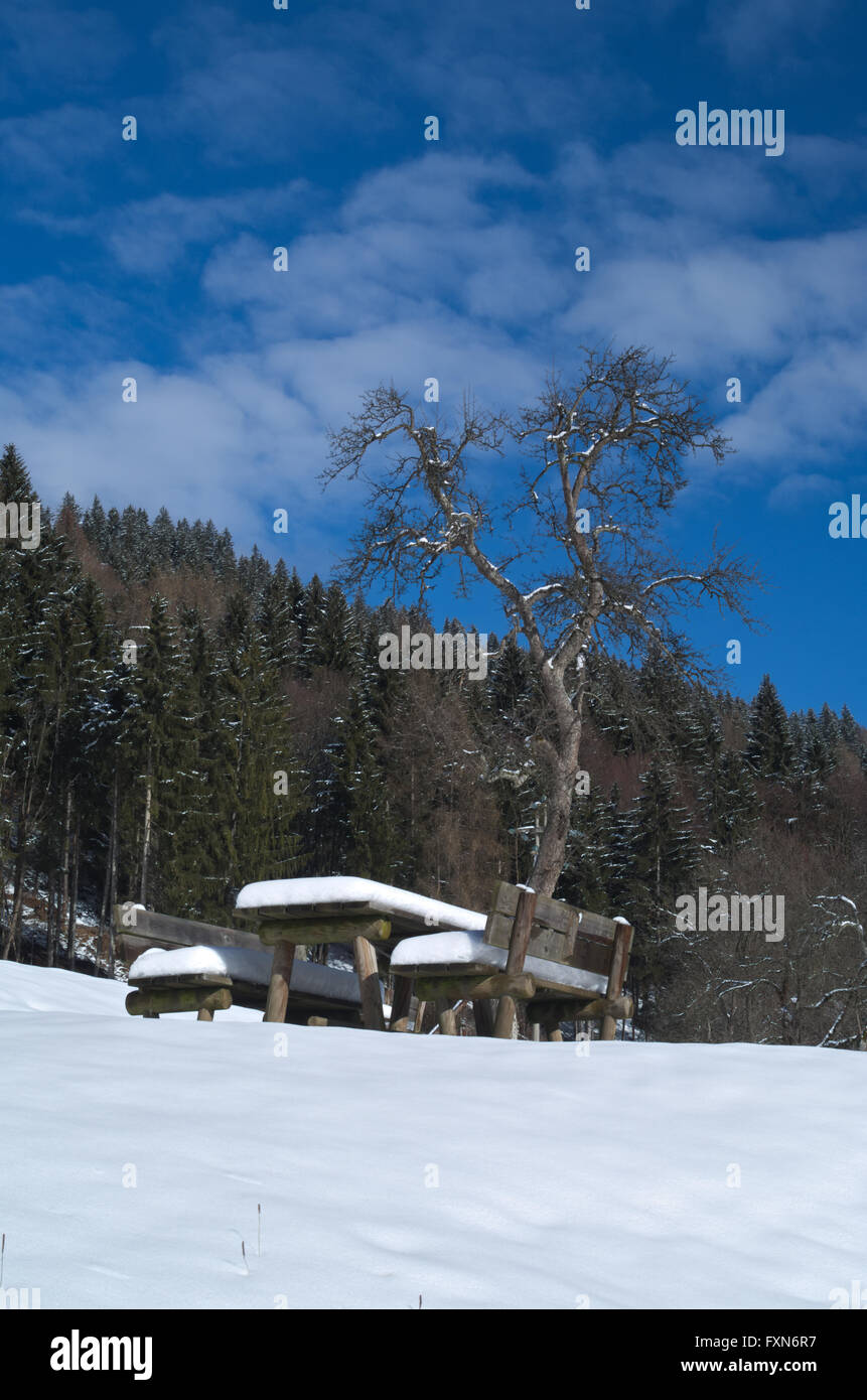 Pic-nic Panca e tavolo posto vicino ad un albero coperto di neve durante l'inverno nelle Alpi Italiane Foto Stock