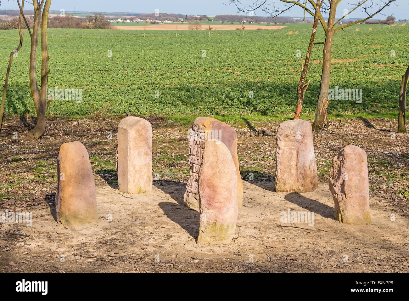 Set di sei pietre montante, menhir, in Europa centrale campagna, allevati per il divertimento Foto Stock