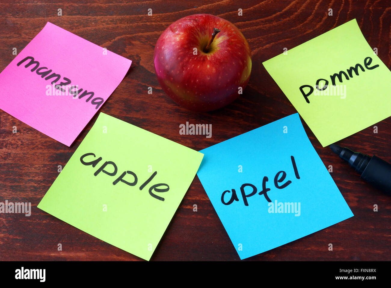 Apple scritto su carte su diverse lingue. La traduzione in lingua concetto. Foto Stock