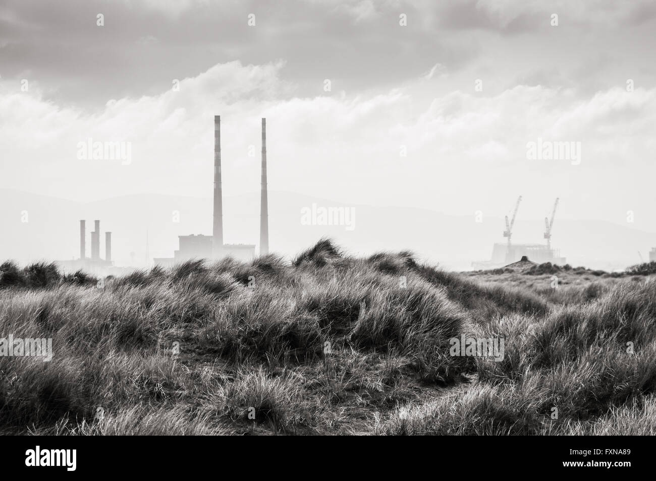 Vista del porto di Dublino e di Poolbeg stazione di generazione da Bull Island in bianco e nero Foto Stock