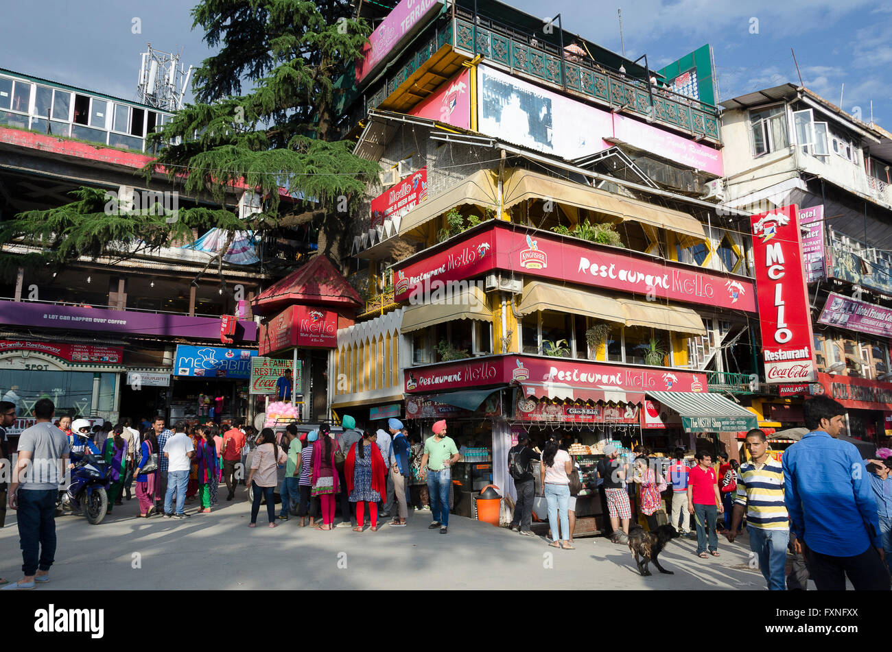 Piazza principale, McLeod Ganj, Dharamshala, Distict Kangra, Himachal Pradesh, India. Foto Stock