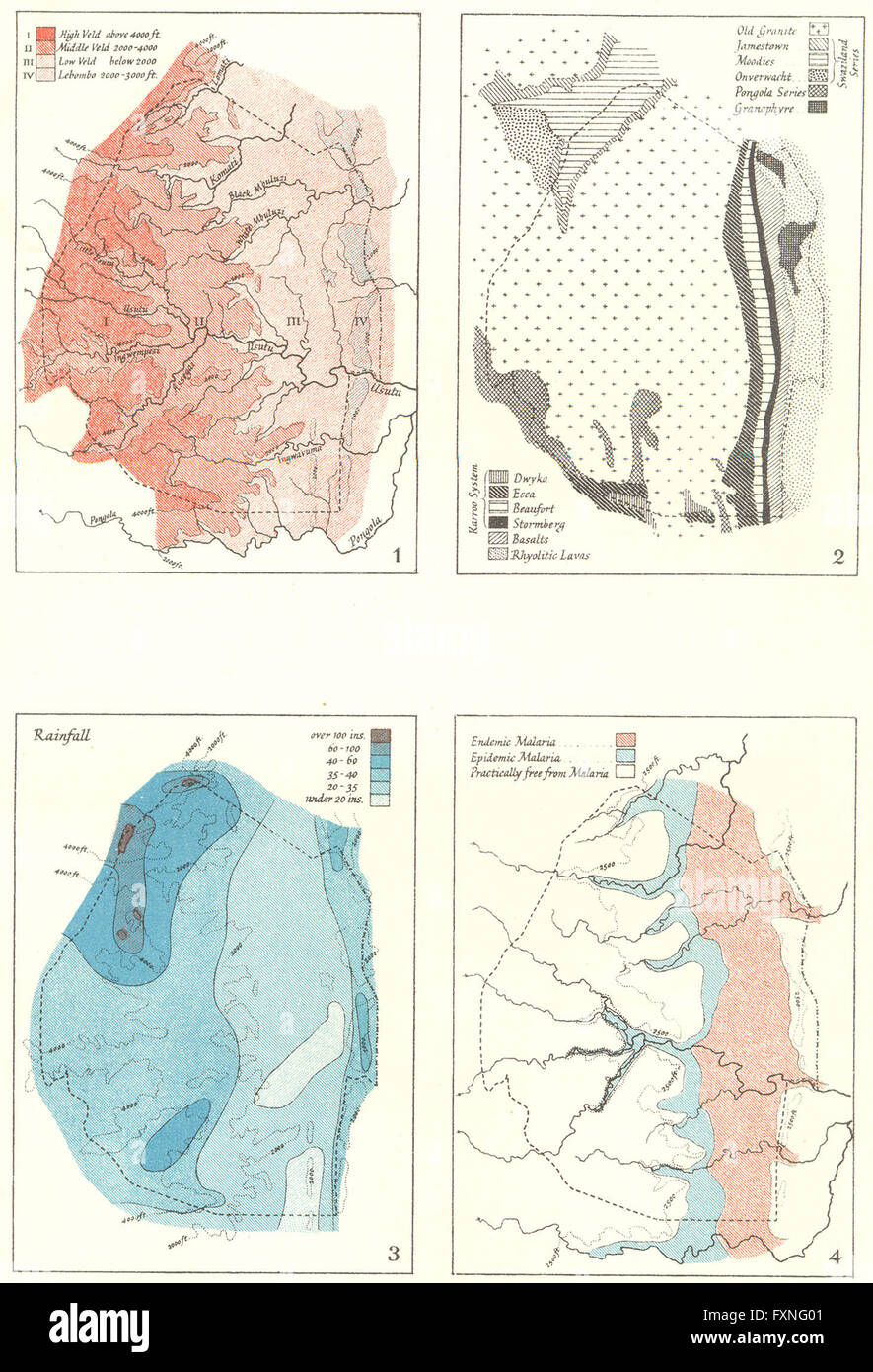 SWAZILAND: Geografia Economica Dorothy Doveton, 1936 Vintage map Foto Stock