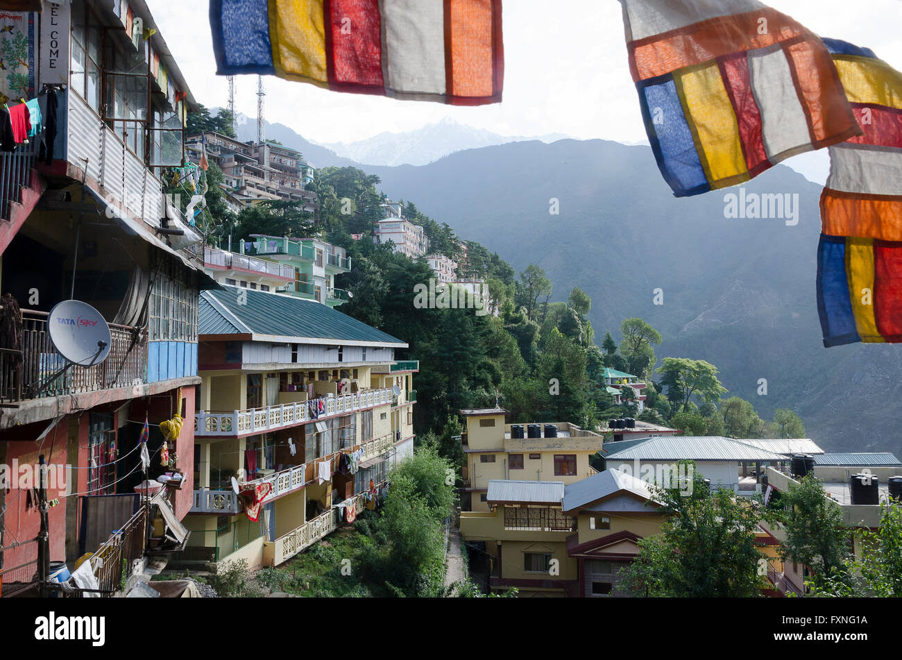 Edifici sulla collina, McLeod Ganj, Dharamshala, Distict Kangra, Himachal Pradesh, India. Foto Stock