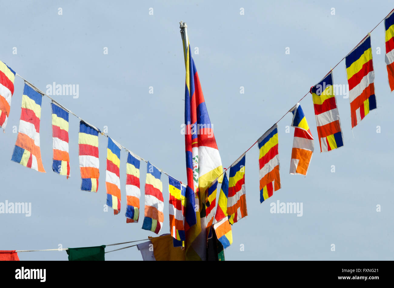 Bandiere in ingresso al Dalai Lama tempio, McLeod Ganj, Dharamshala, Distict Kangra, Himachal Pradesh, India. Foto Stock