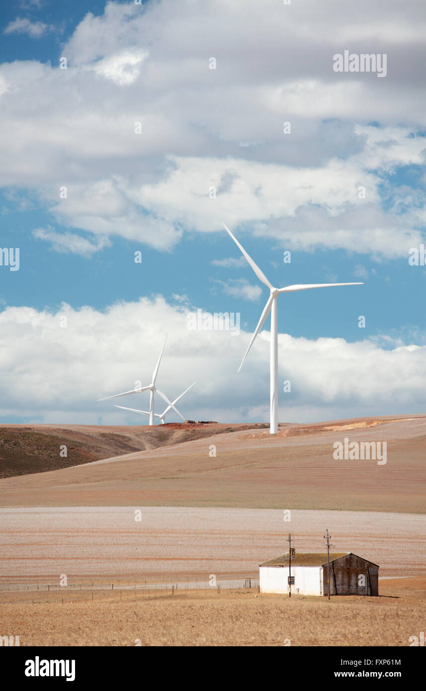 Per centrali eoliche, Overberg, Caledon, Western Cape, Sud Africa. Foto Stock