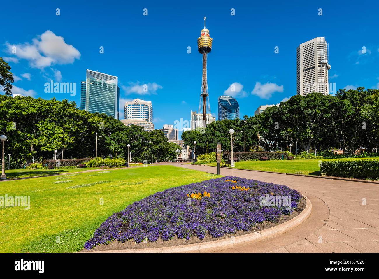 Vista a Sydney Moore Park, torre e moderni edifici in background in Sydney Foto Stock