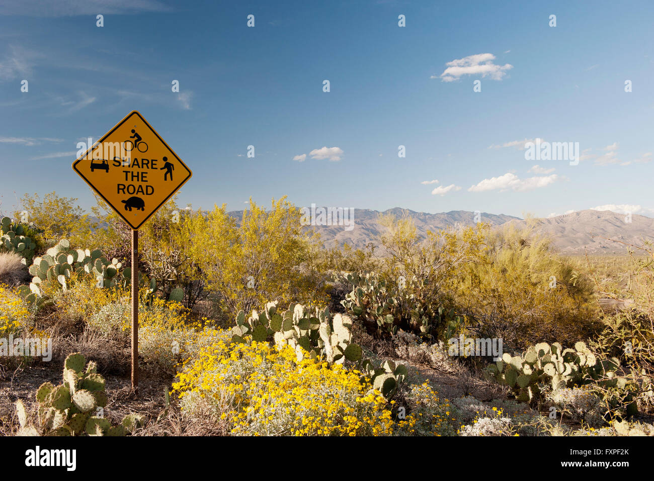 Condividere il cartello stradale in scenic il paesaggio del deserto Foto Stock