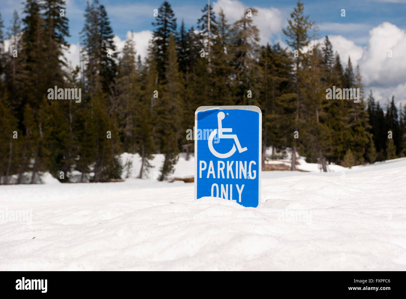 Parcheggio Disabili segno a metà sepolto nella neve profonda Foto Stock