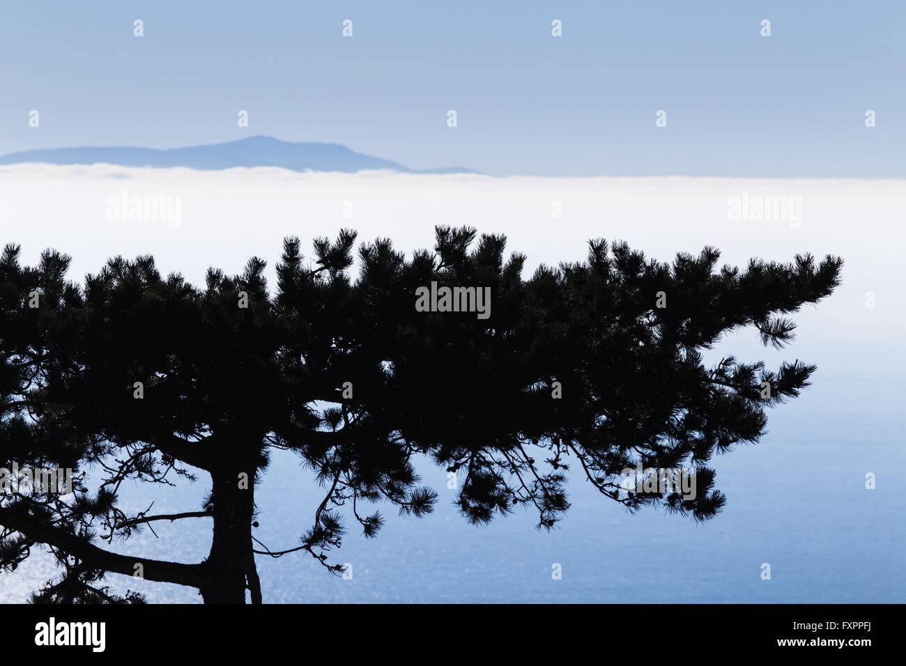 Inversione atmosferica tree e isola di silhouette Foto Stock