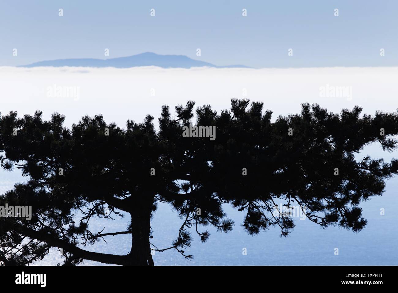Inversione atmosferica tree e isola la parte superiore diritta silhouette Foto Stock
