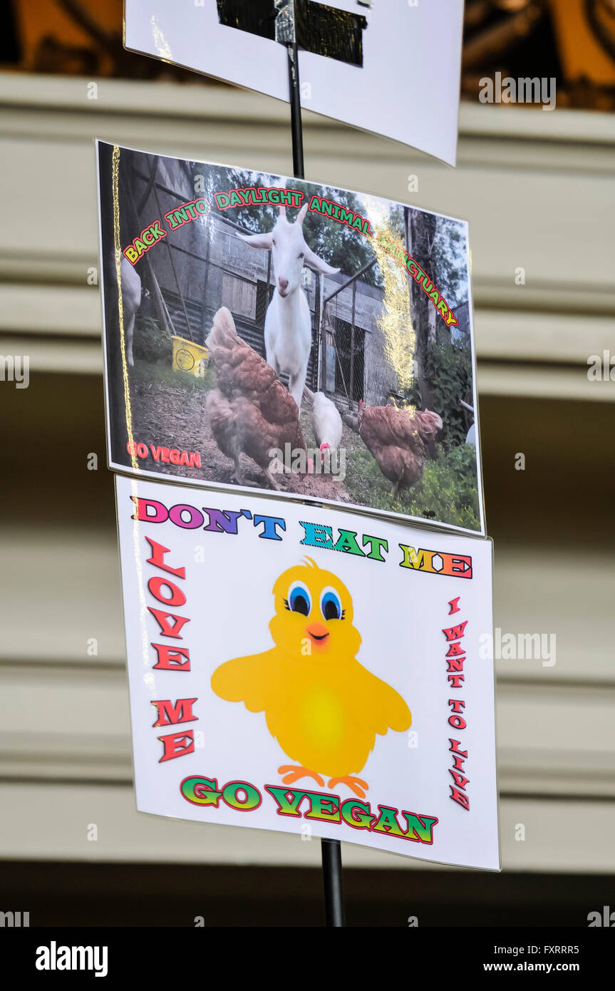 Segni di un vegano stallo di mercato a chiedere alle persone di non mangiare animali, ma per amore di essi invece. "Non mangiamo me. Amore di me. Io voglio vivere. go vegan.". Foto Stock