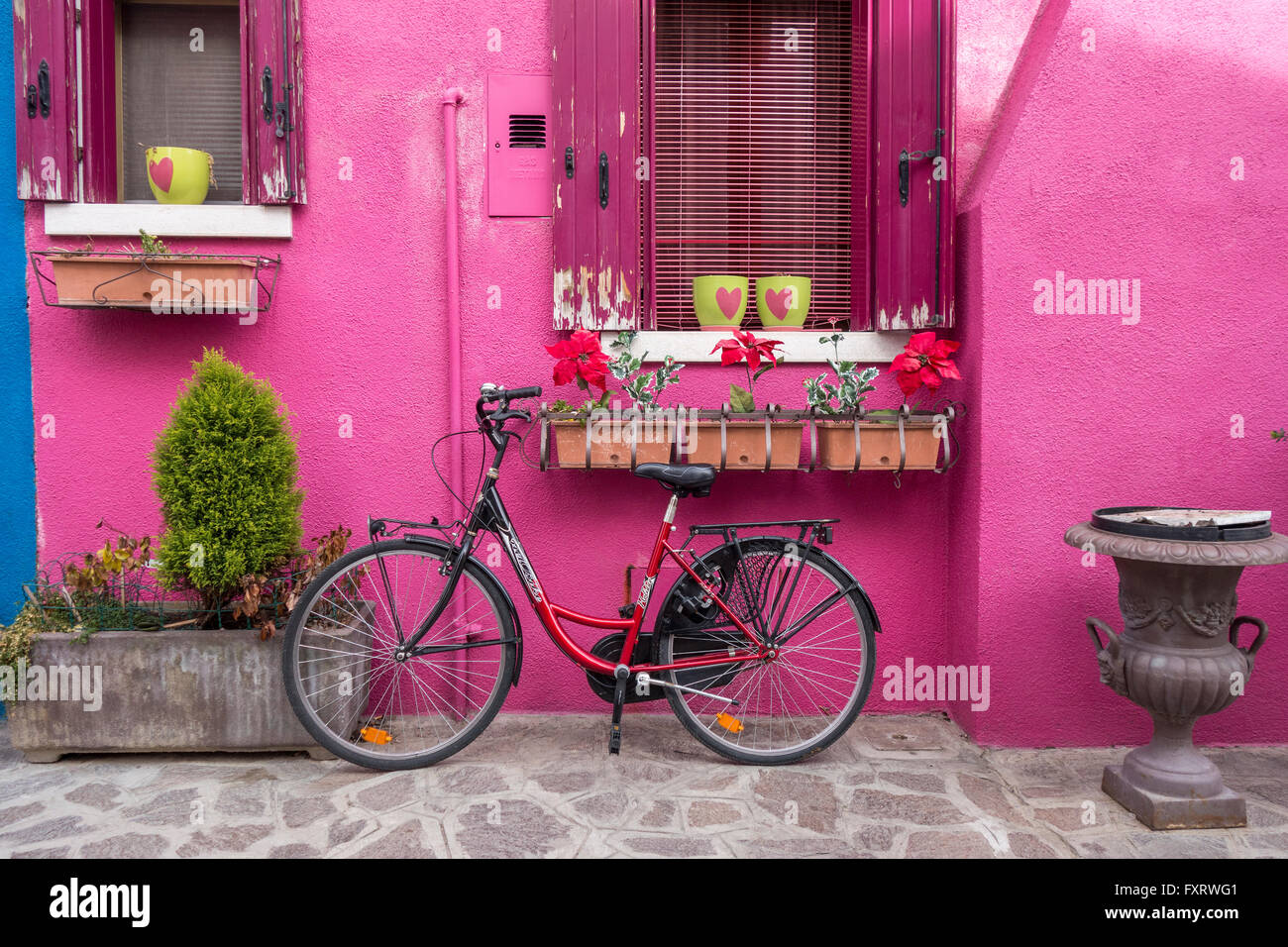 Venezia - Isola di Burano colorato colorato casa rosa con una bicicletta Foto Stock
