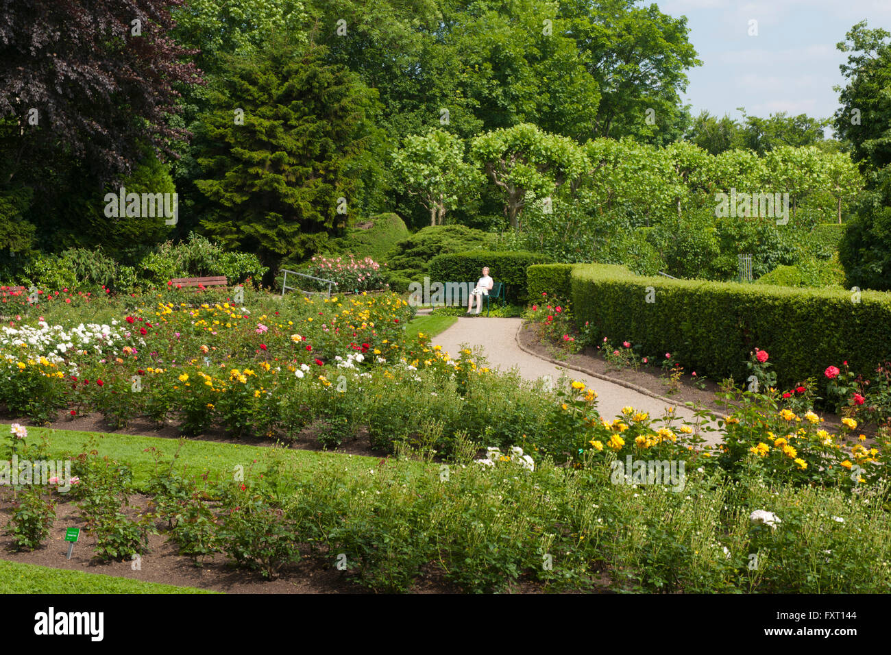 Köln, Neustadt-Nord, Fort X, Prinz Wilhelm von Preußen, Neusser parete 33, Rosengarten auf der Umwallung Foto Stock