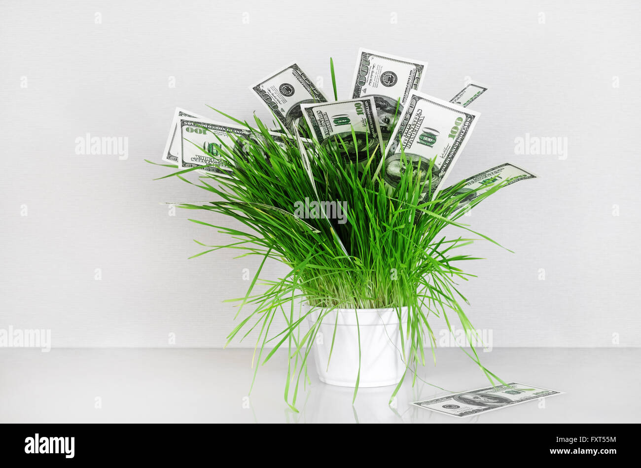 Di dollari in erba. Centinaia di fatture del dollaro in una pentola con erba verde su sfondo grigio. Denaro falso. Foto Stock