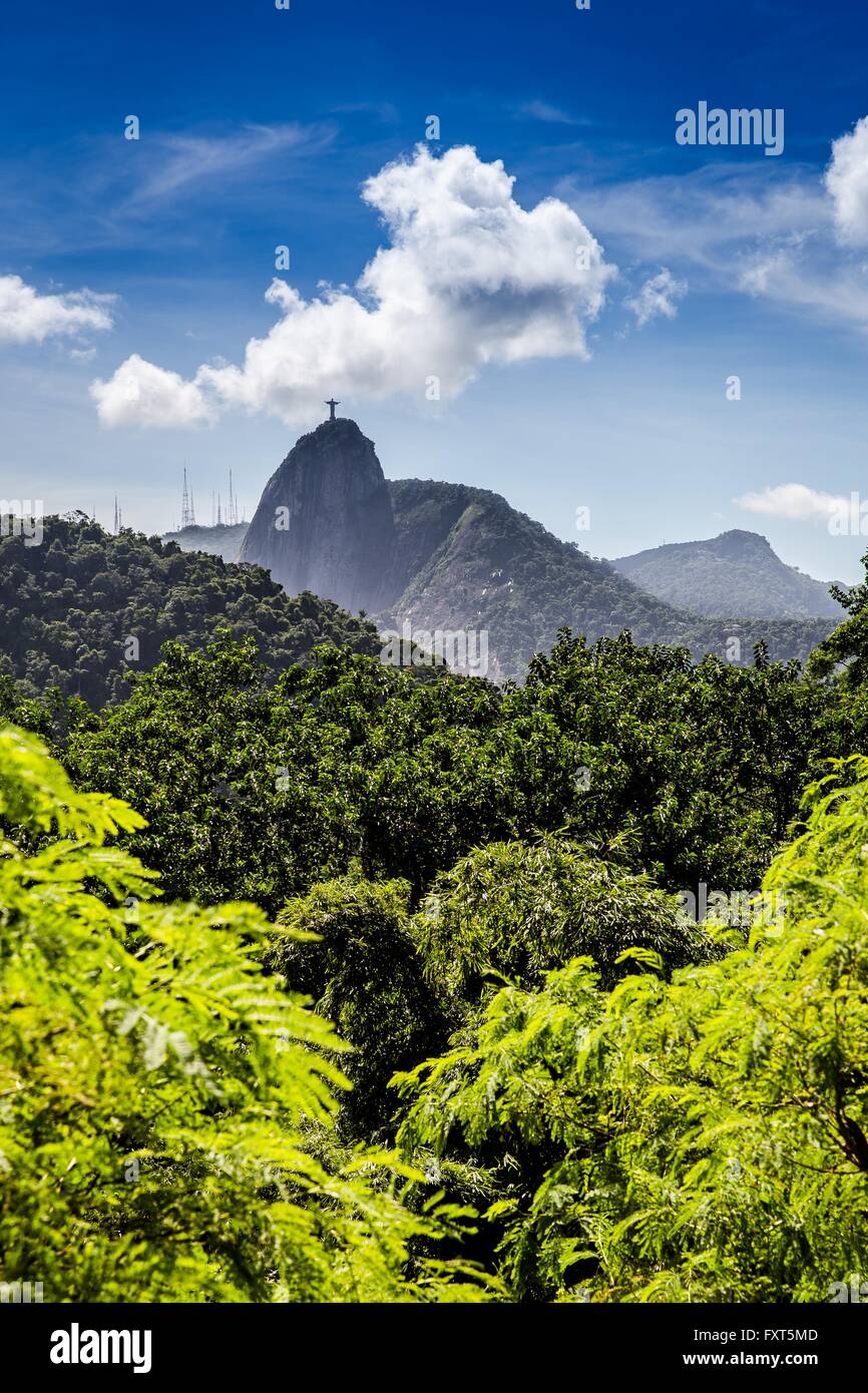 Cristo redentore statua, Corcovado Rio de Janeiro, Brasile Foto Stock