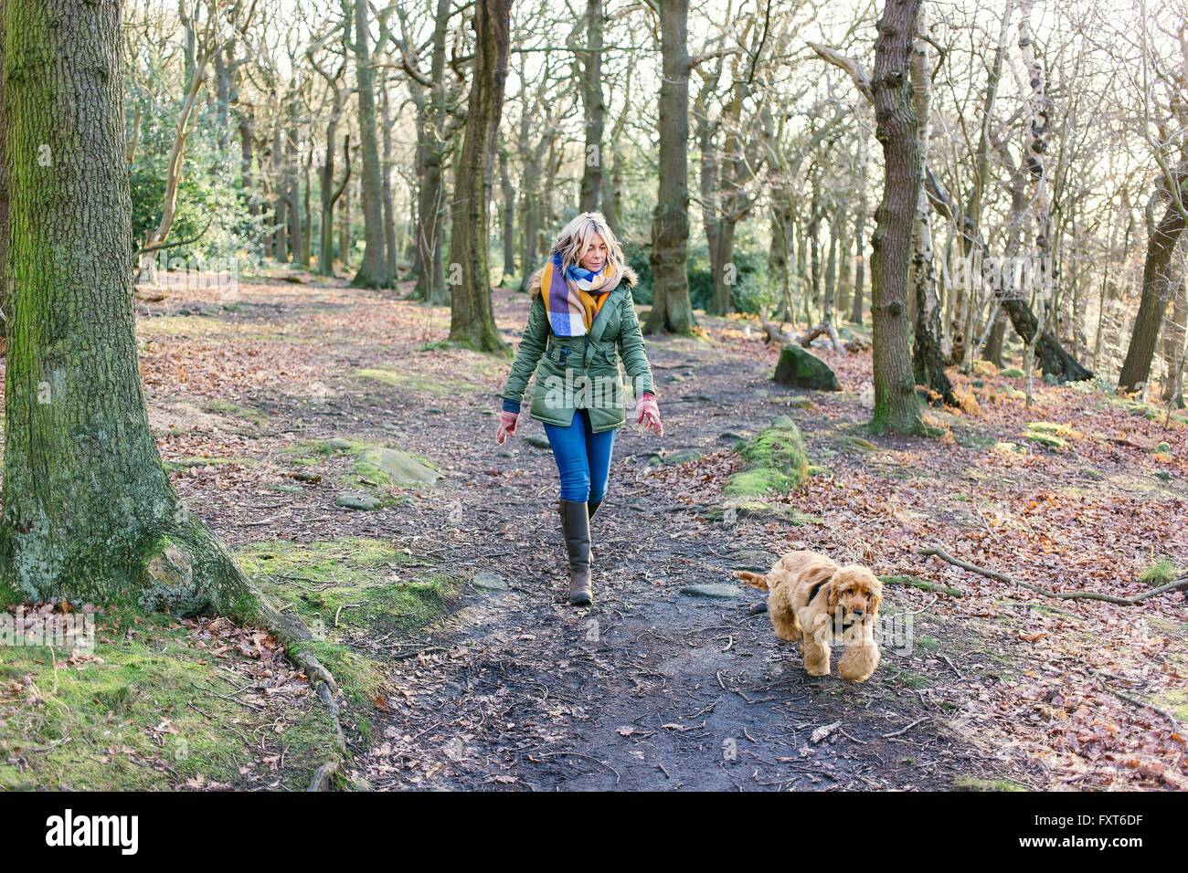 Donna prendendo cucciolo per camminare nella foresta Foto Stock