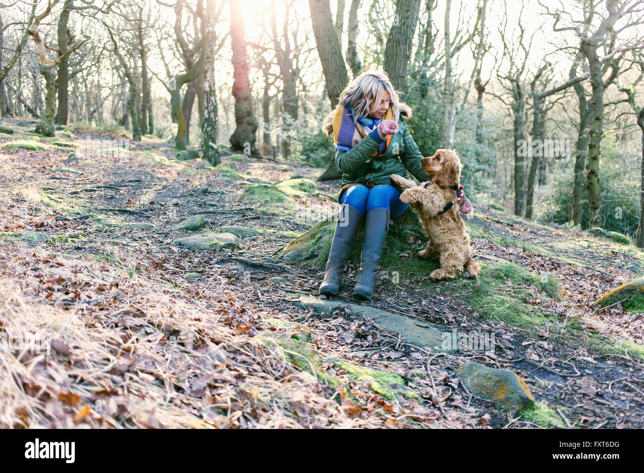 Donna che trattano di puppy in foresta Foto Stock