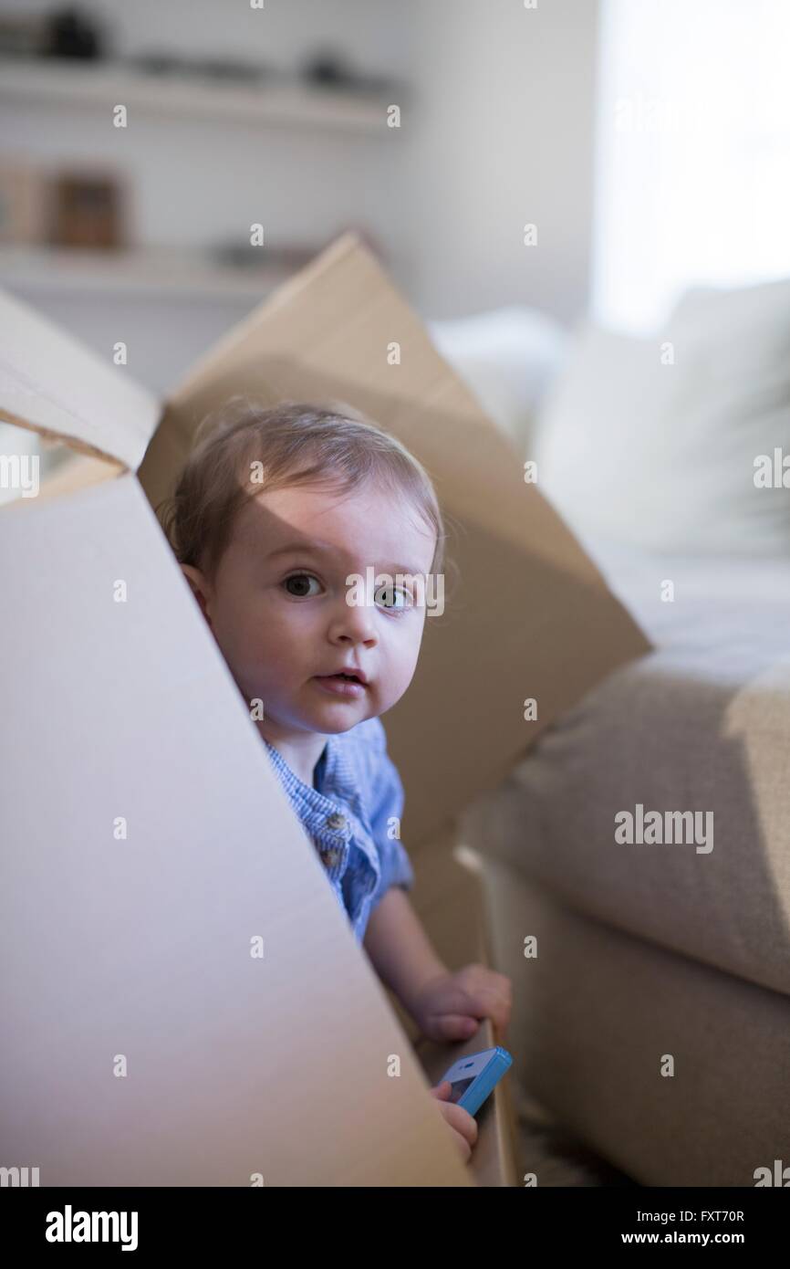 Baby boy in una scatola di cartone che spuntavano Foto Stock