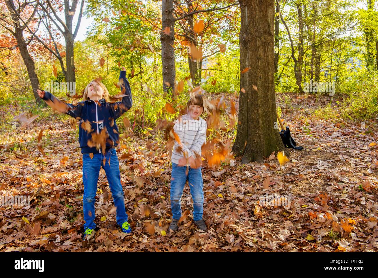 Due fratelli nella foresta, gettando le foglie di autunno Foto Stock