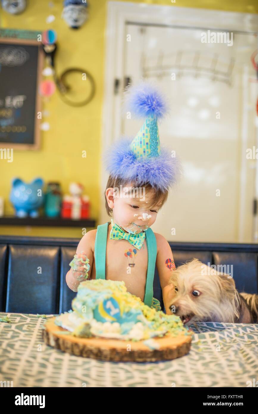 Baby boy e cane fissando confuso torta di compleanno sul tavolo Foto Stock