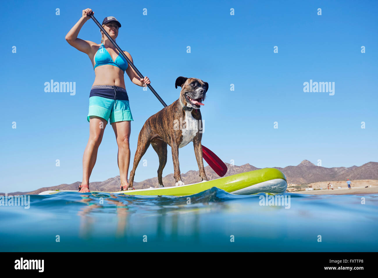 Donna paddle-imbarco con il cane Foto Stock